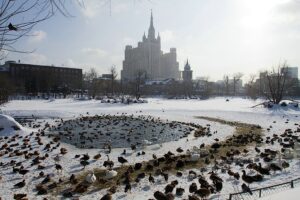 10 причин посетить “Московский зоопарк” зимой